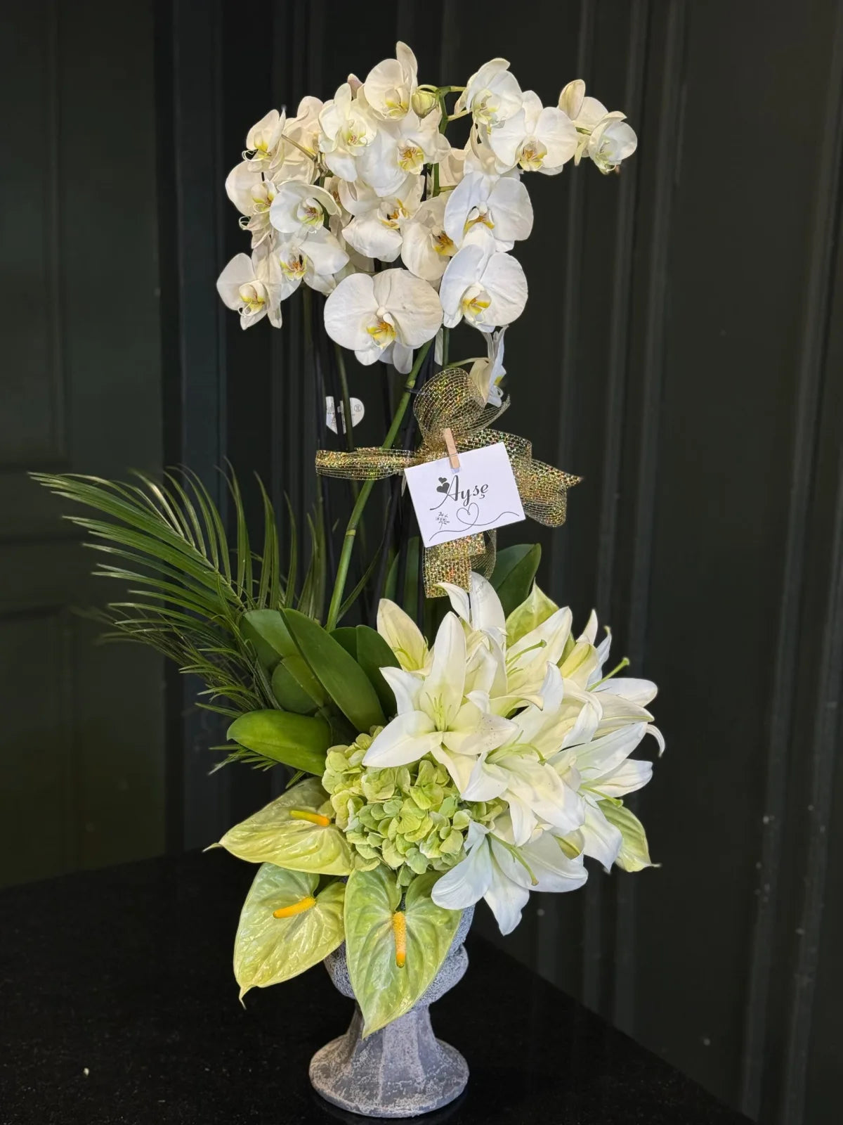 İnci Canlı Saksılı Orkide